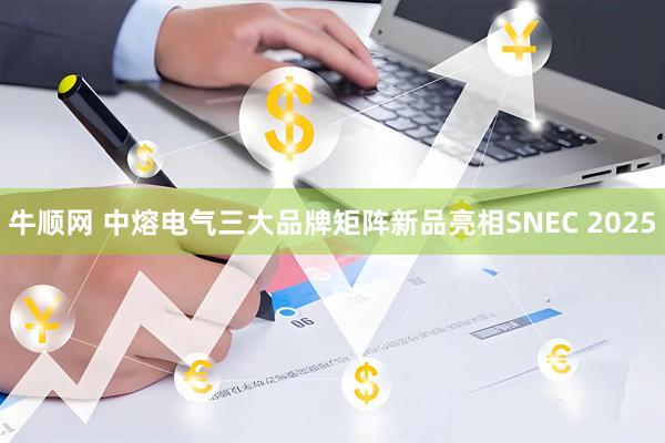 牛顺网 中熔电气三大品牌矩阵新品亮相SNEC 2025