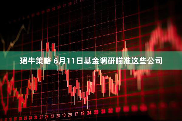 珺牛策略 6月11日基金调研瞄准这些公司