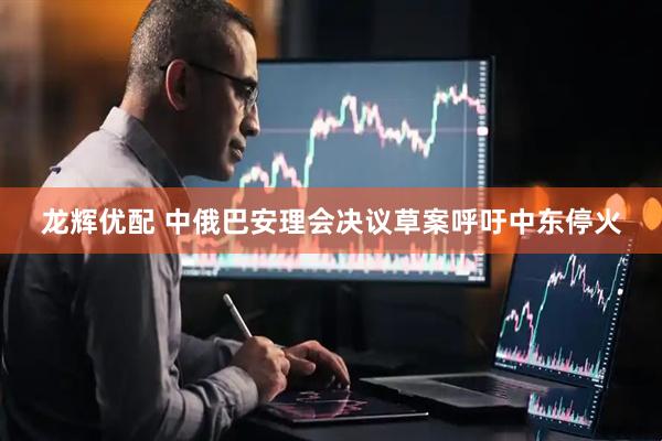 龙辉优配 中俄巴安理会决议草案呼吁中东停火