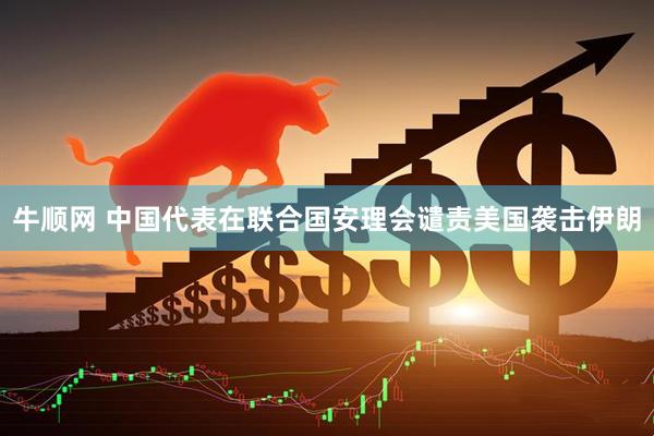 牛顺网 中国代表在联合国安理会谴责美国袭击伊朗