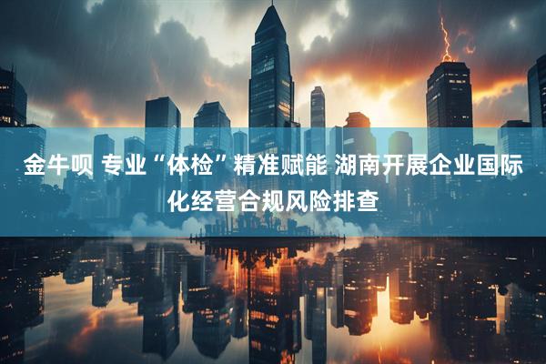 金牛呗 专业“体检”精准赋能 湖南开展企业国际化经营合规风险排查