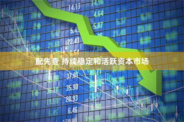 配先查 持续稳定和活跃资本市场